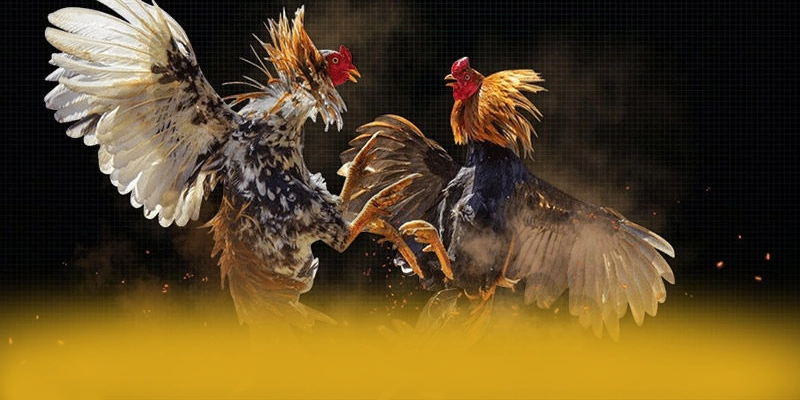 Chương trình thưởng khủng dành cho tất cả người chơi tại [THUONG_HIEU]