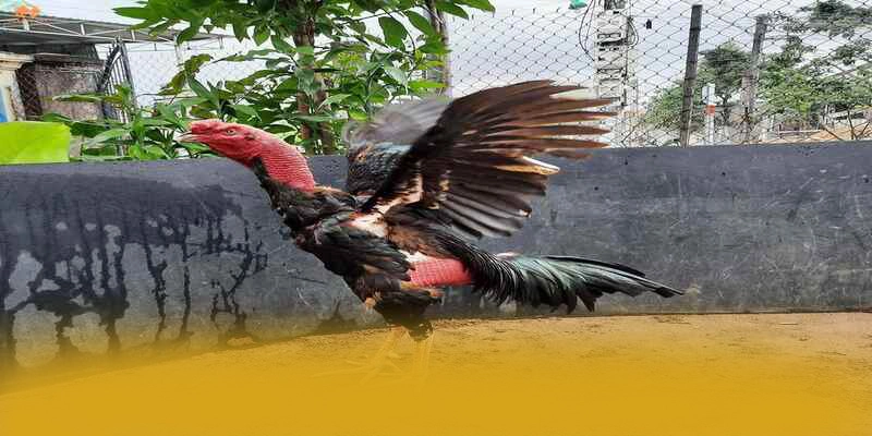 An toàn thông tin người dùng tại GOOD88 An toàn thông tin người dùng tại GOOD88