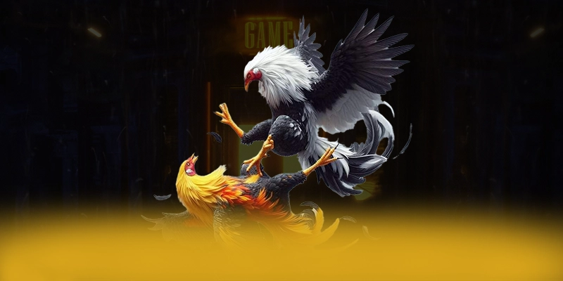 SUNWIN - Cổng giải trí cung cấp hàng trăm tựa game đẳng cấp 2026 SUNWIN - Cổng giải trí cung cấp hàng trăm tựa game đẳng cấp 2026
